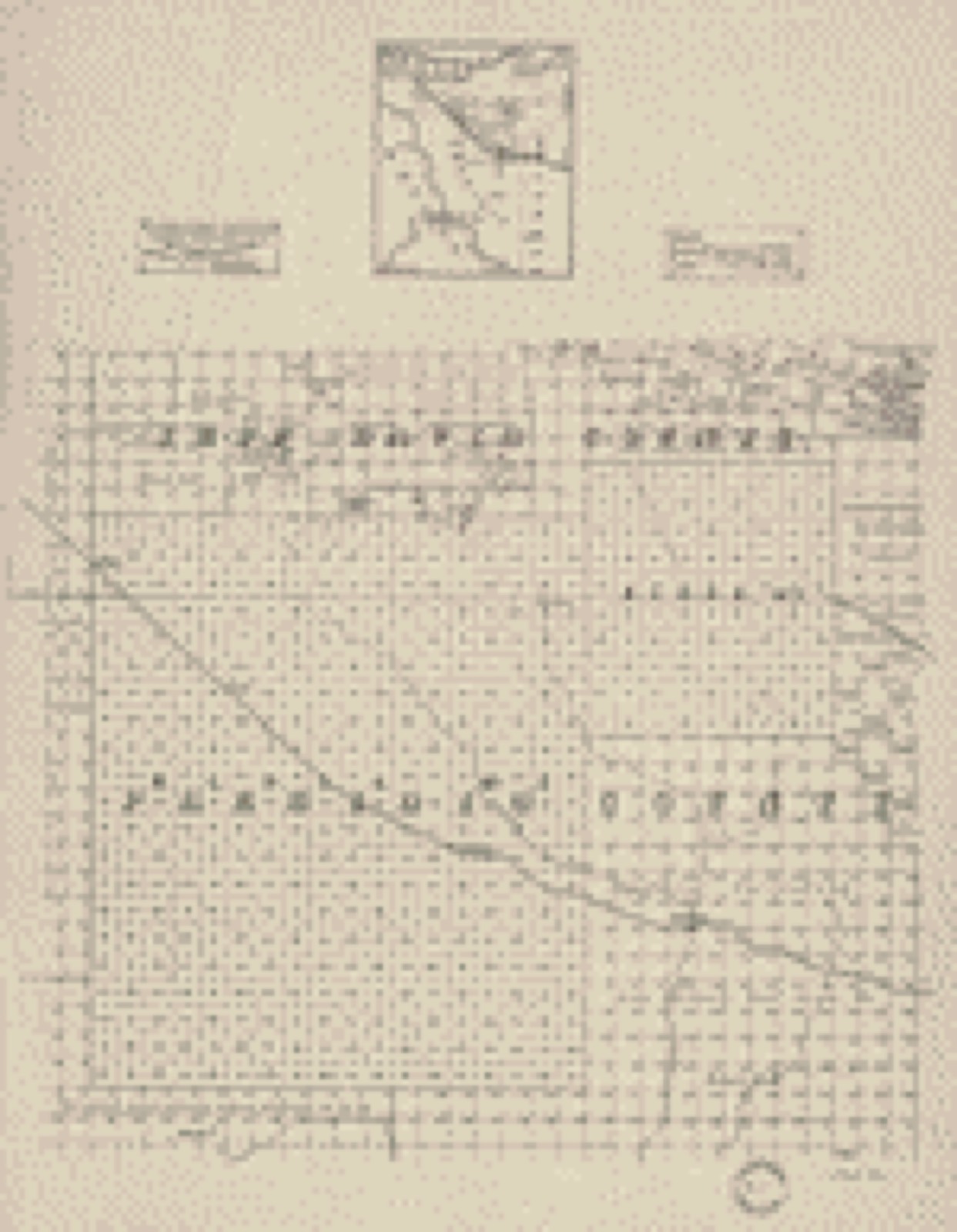 Land ownership map, 1894 - [Map of portions of Jeff Davis County and Presidio County, Texas]