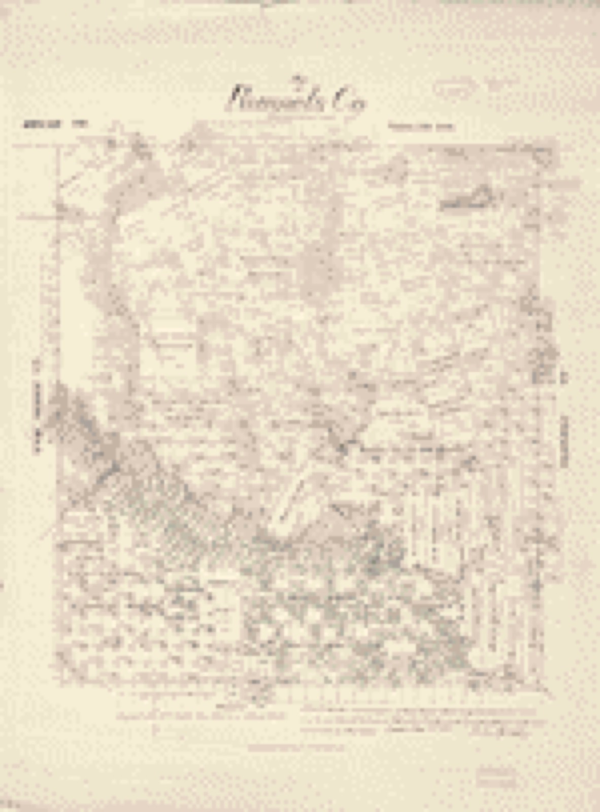 Land ownership map, 1879 - Map of Runnels Co