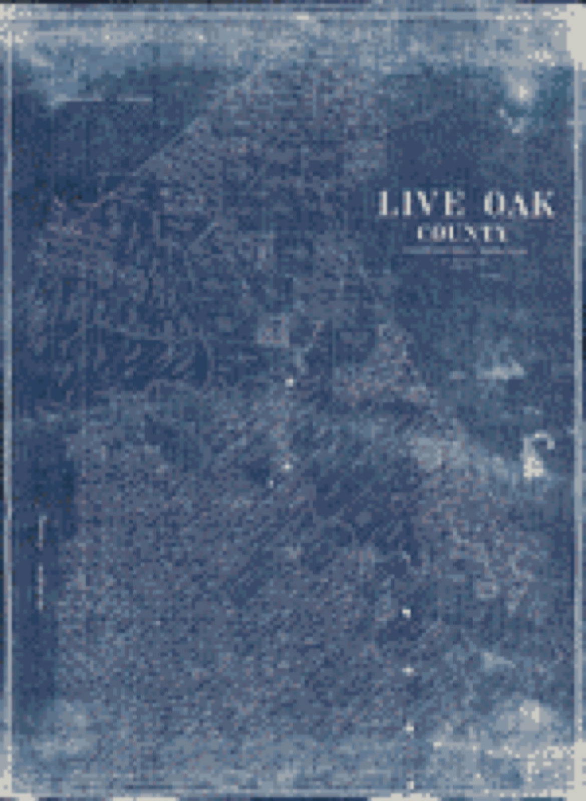 Land ownership map, 1899 - Live Oak County, Texas