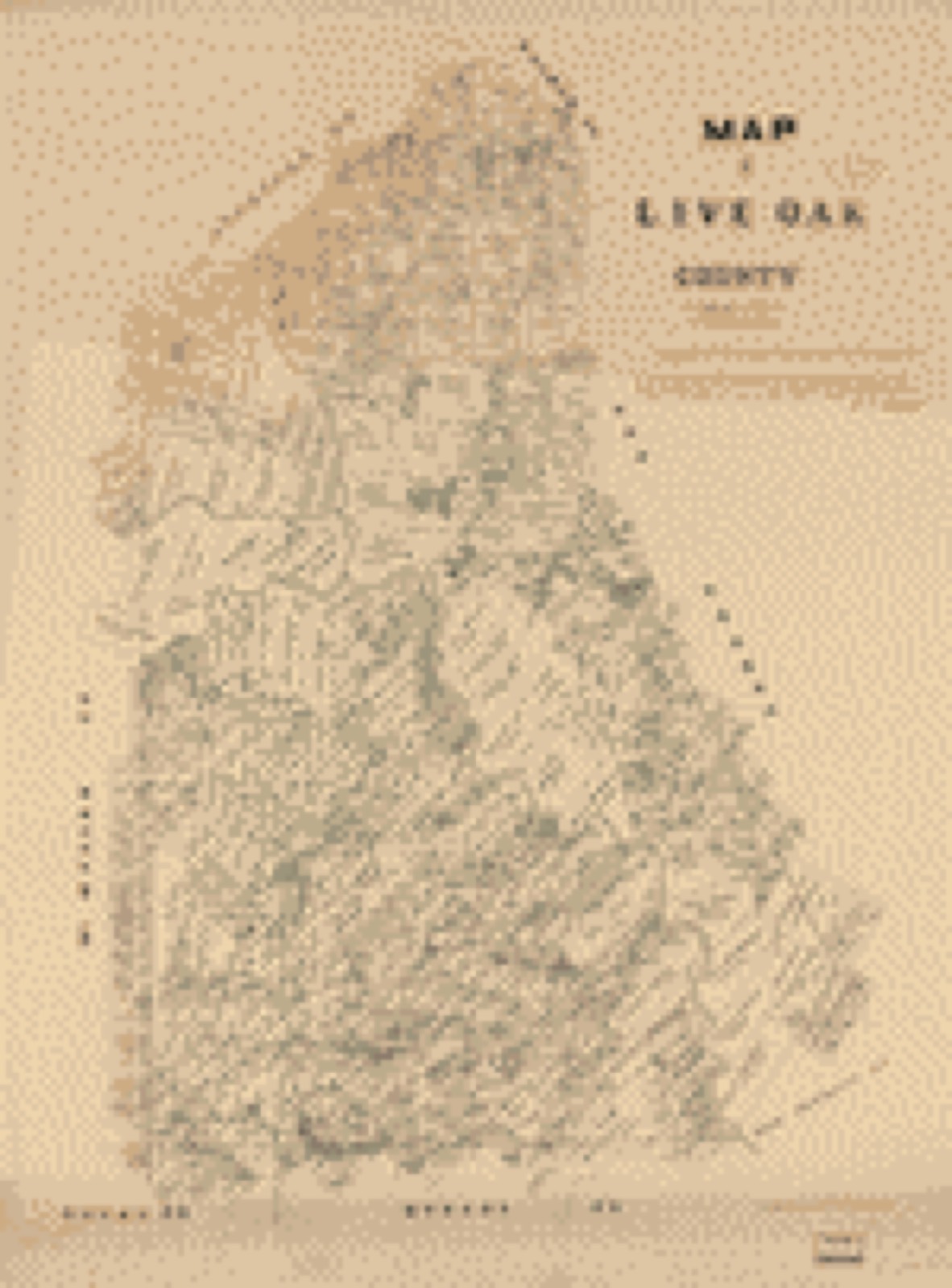 Land ownership map, 1879 - Map of Live Oak County