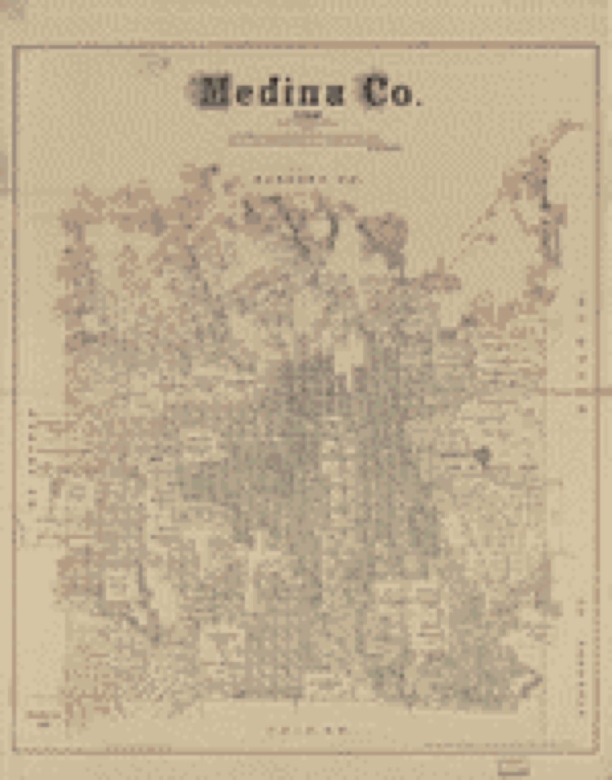 Land ownership map, 1879 - Medina Co., Texas