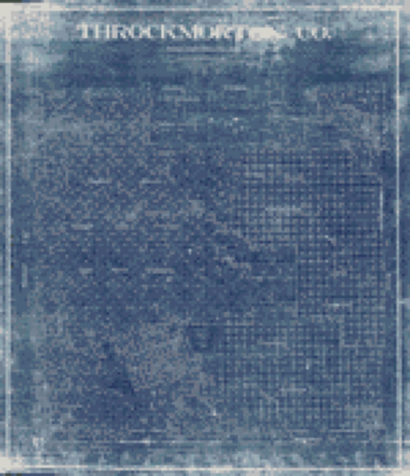 Land ownership map, 1898 - Throckmorton Co