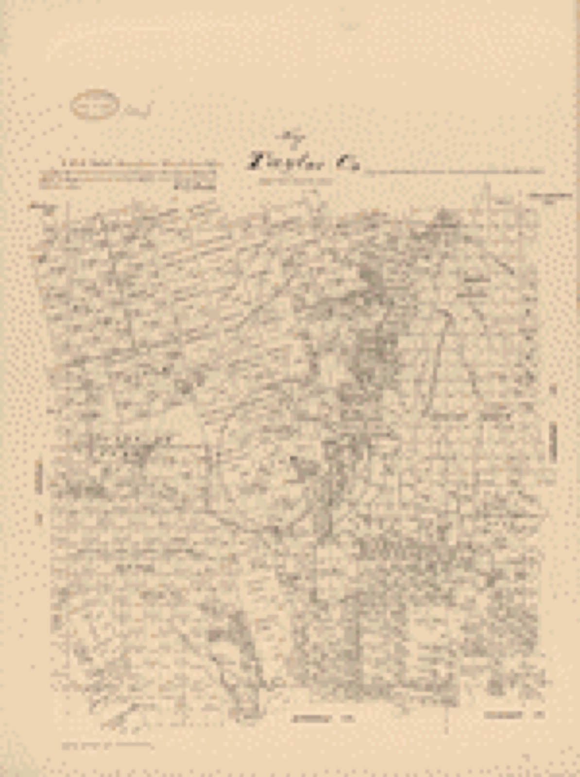 Land ownership map, 1879 - Map of Taylor Co., Texas