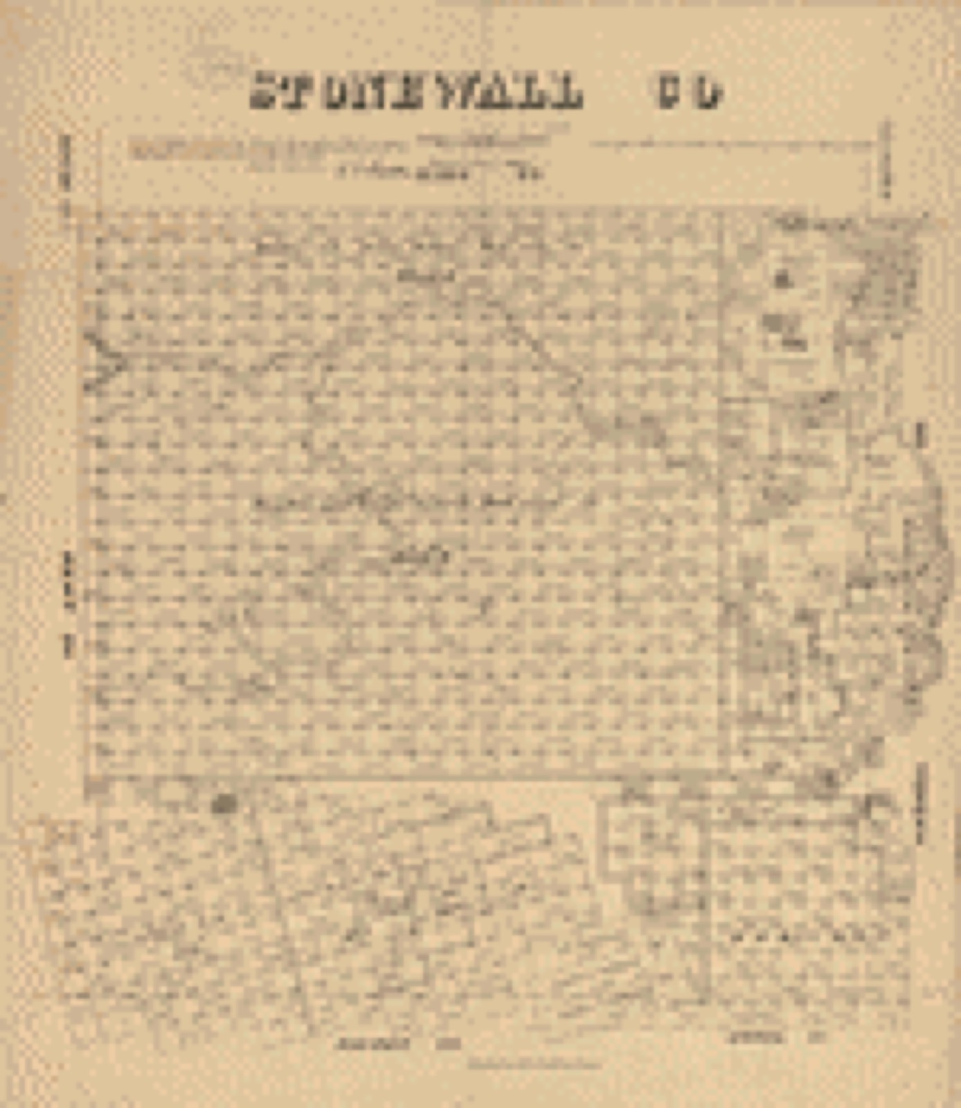 Land ownership map, 1880 - Stonewall Co., Texas