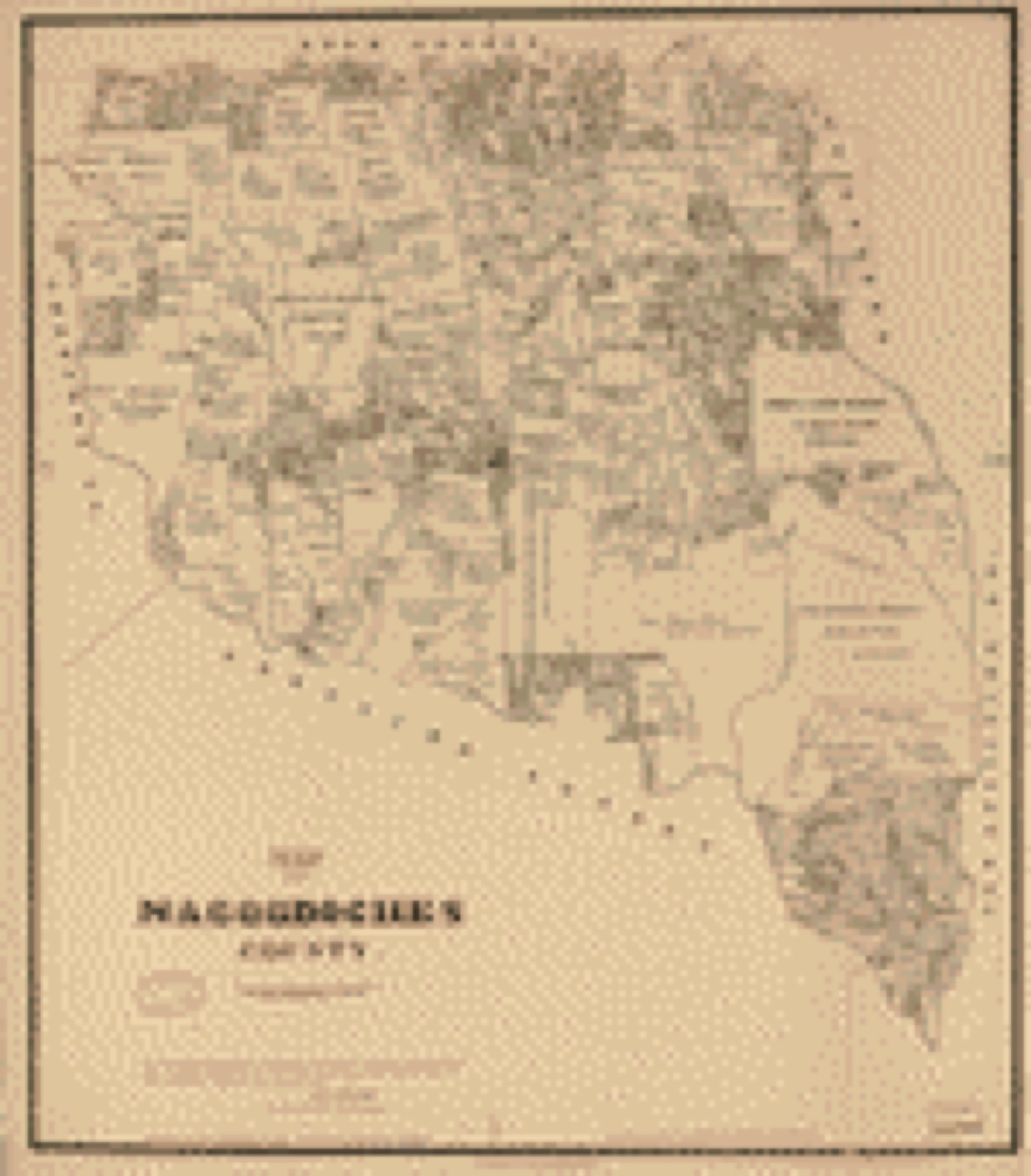 Land ownership map, 1881 - Map of Nacogdoches County