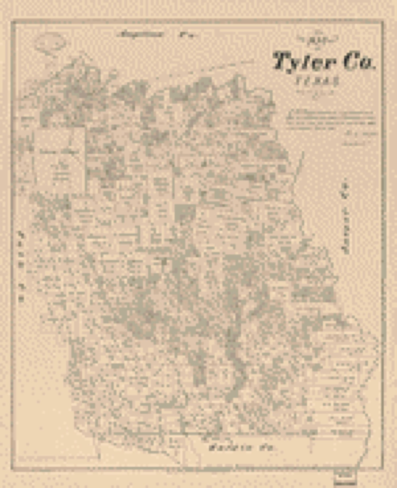 Land ownership map, 1879 - Map of Tyler Co., Texas