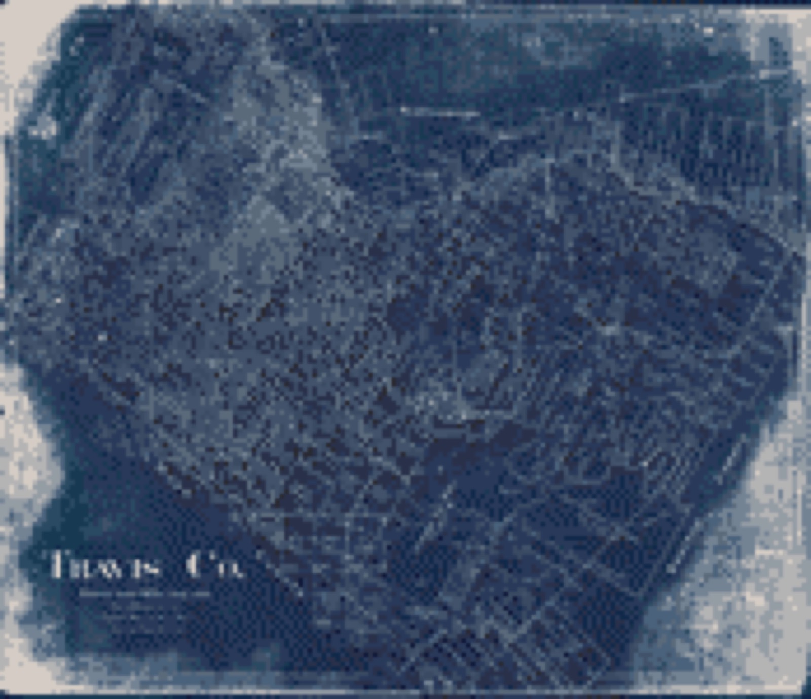 Land ownership map, 1894 - Travis Co