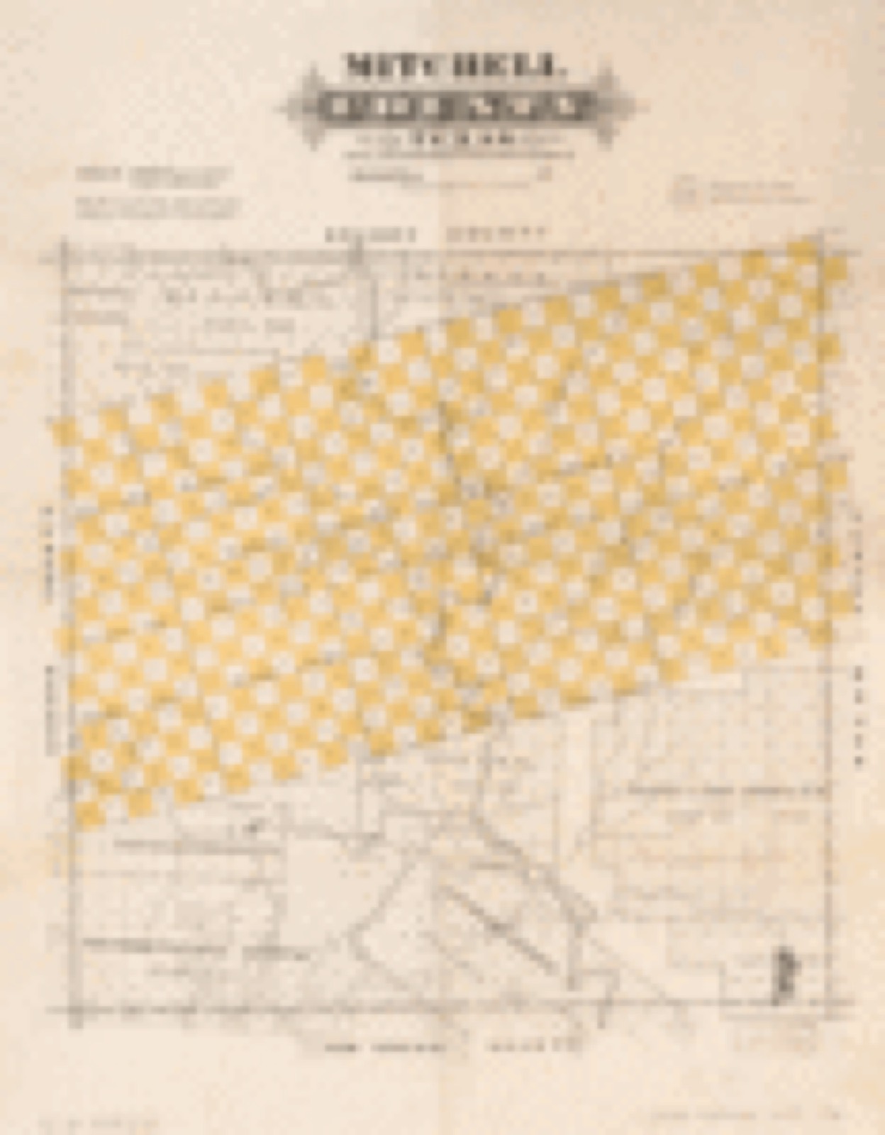 Land ownership map, 1870 - Mitchell County, Texas