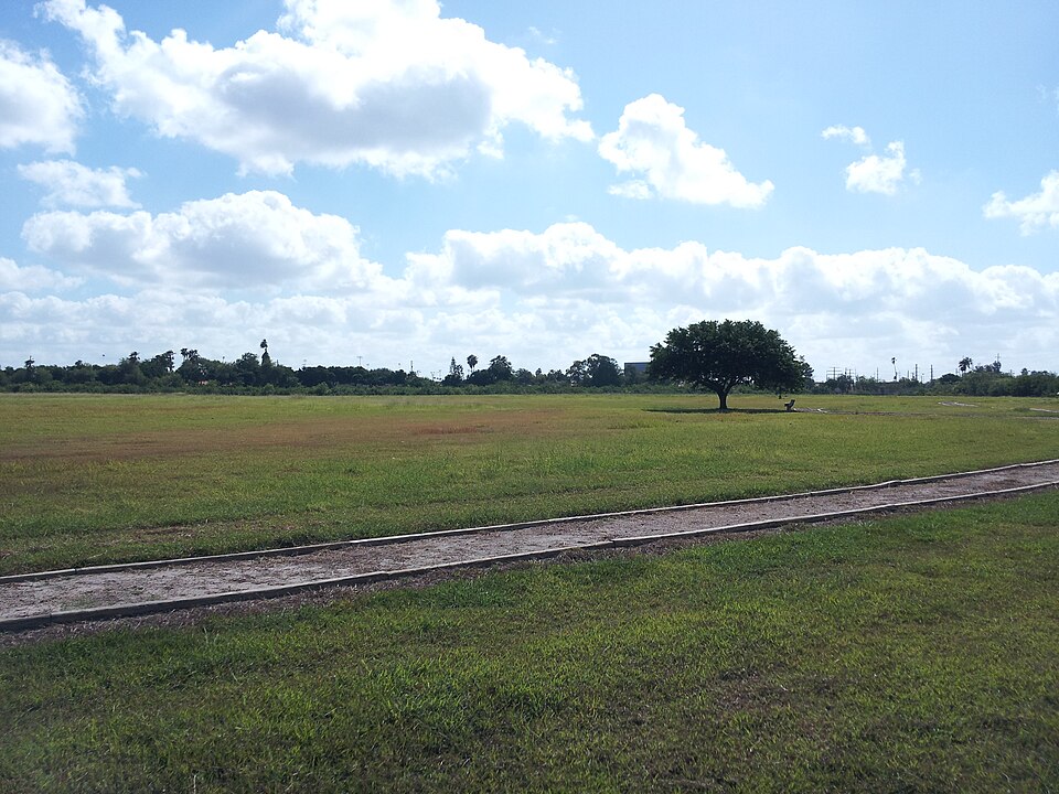 Photograph of Resaca de la Palma Battlefield