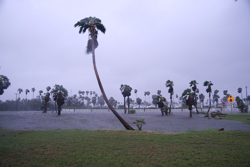 Photograph of Old Brulay Plantation