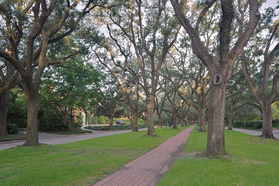 Photograph of Broadacres Historic District
