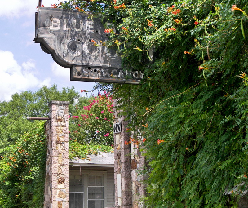 Photograph of Blue Bonnet Court