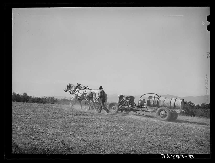 Mormon farmer driving cooperative fruit sprayer to his orchard. Cache County, Utah