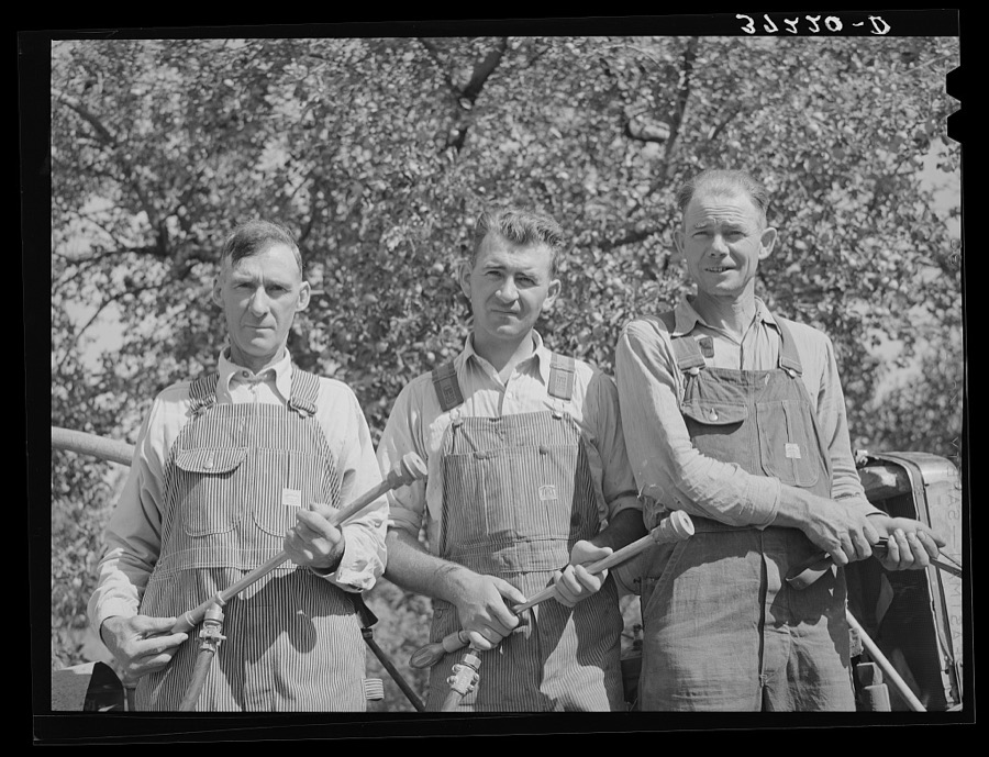 Members of  FSA (Farm Security Administration) cooperative sprayer. Cache County, Utah