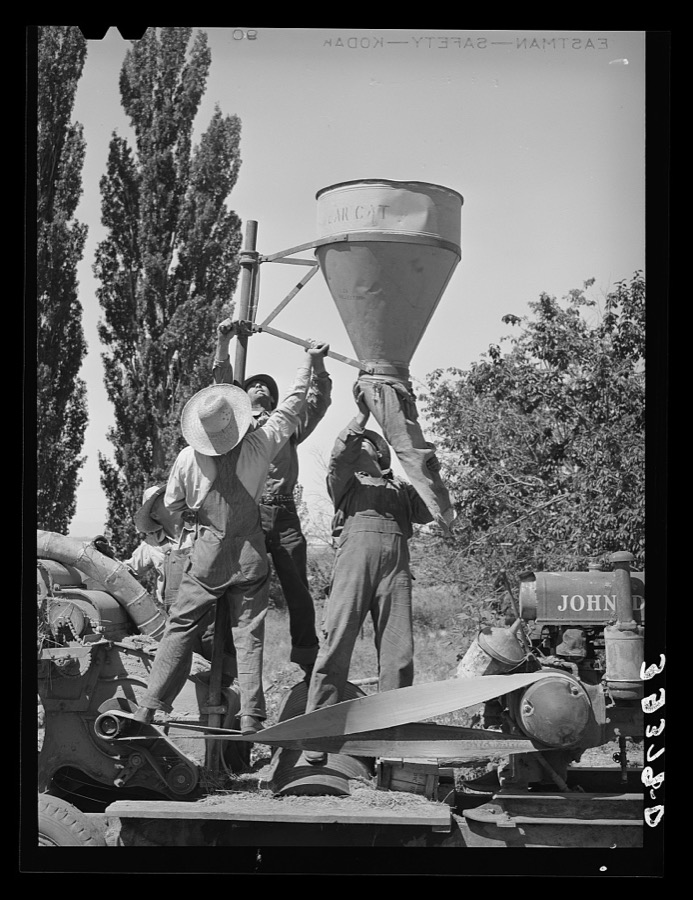 Members of FSA (Farm Security Administration) cooperative hay chopper elevating part of the blower. Box Elder County, Utah