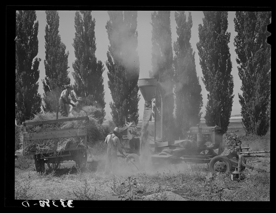 FSA (Farm Security Administration) cooperative hay chopper in action. Box Elder County, Utah