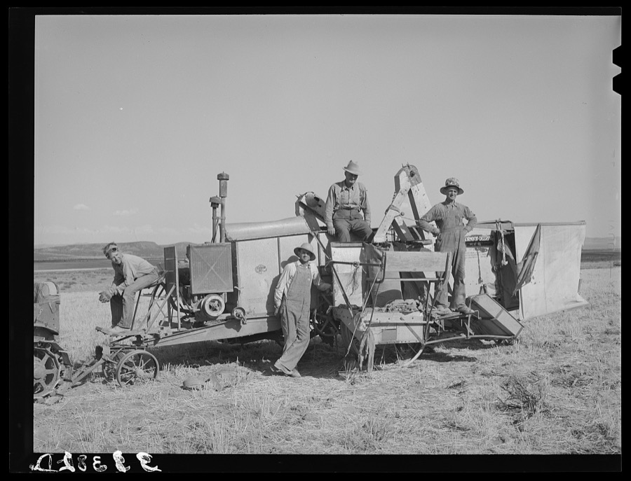 Members of FSA (Farm Security Administration) cooperative combine. Box Elder County, Utah