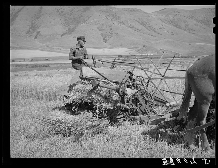 FSA (Farm Security Administration) cooperative binder in action. Mantua, Utah