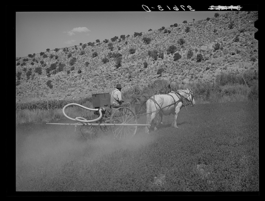The duster of the Allen Valley Duster Association dusting alfalfa. Sanpete County, Utah