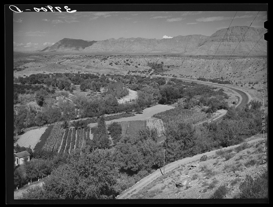 Small, irrigated, very productive farm. Santa Clara, Utah. See general caption