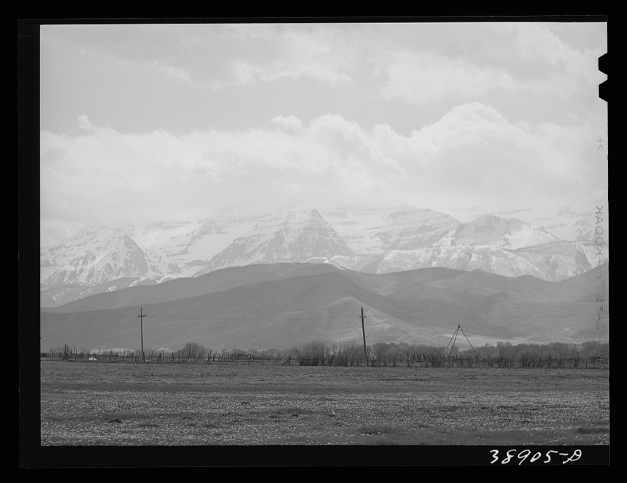 Spring pasture with the snow-covered Uinta Mountains in the background. Heber, Utah
