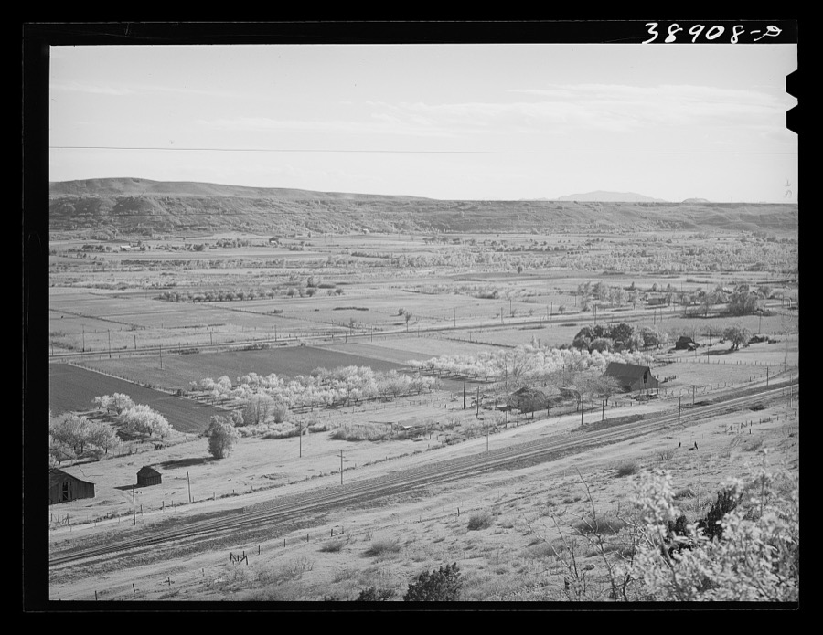 Farming land in the valley of the Wever River. Morgan County, Utah