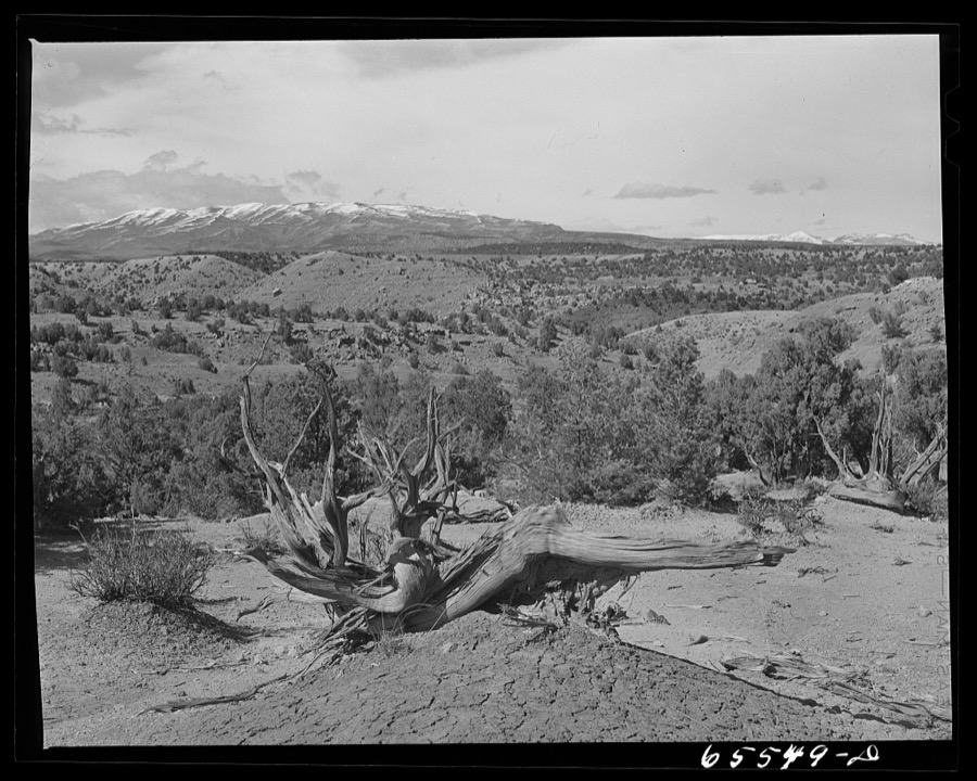 Duchesne County, Utah. Desert country