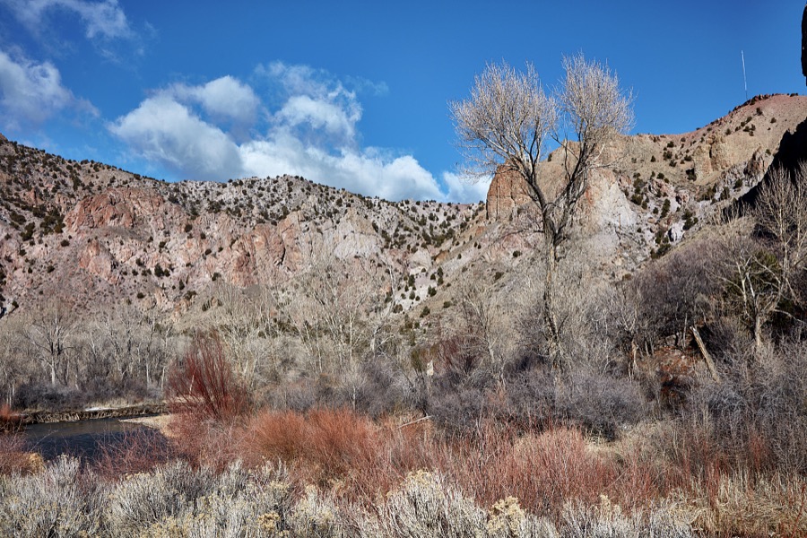 Scene along the Sevier River near the little town of Sevier in the western U.S. state of Utah