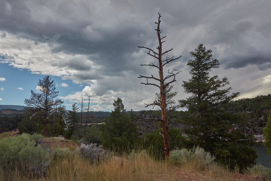 Scene alongside the Flaming Gorge Reservoir, which impounds the water of the Green River in desolate Daggett County, the north easternmost county in the western state of Utah