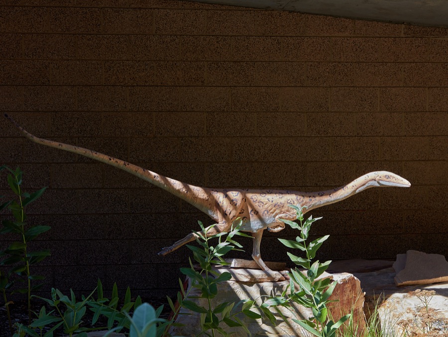 Figure of a coelophysoids meat-eating dinosaur outside the Utah Field House of Natural History State Park Museum in the small city of Vernal in eastern Utah's Uintah County