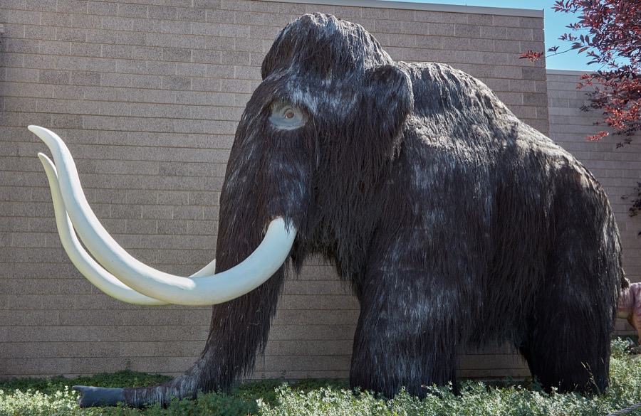 Figure of a prehistoric woolly mammoth outside the Utah Field House of Natural History State Park Museum in the small city of Vernal in eastern Utah's Uintah County
