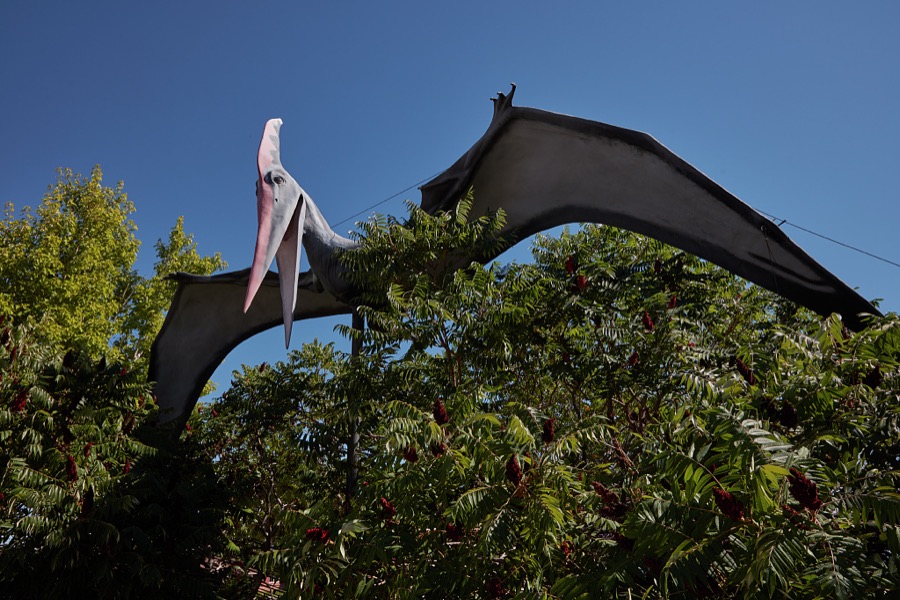 Figure of a prehistoric Pteranodon flying reptile at the Utah Field House of Natural History State Park Museum in the small city of Vernal in eastern Utah's Uintah County