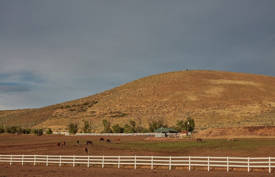 Horse farm near Heber City, 43 miles southeast of Salt Lake City in Wasatch County, Utah