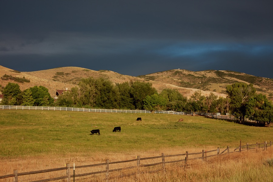 A storm brews above a cow pasture near Heber City, 43 miles southeast of Salt Lake City in Wasatch County, Utah