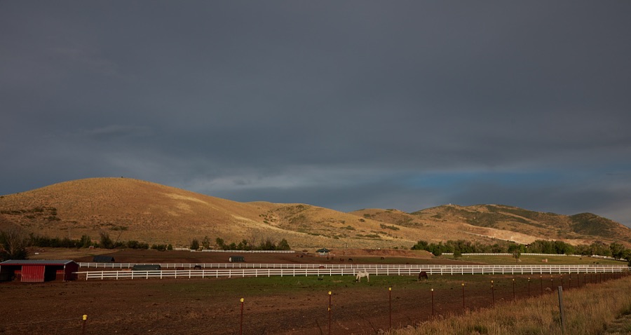 Horses graze beneath low hills near Heber City, 43 miles southeast of Salt Lake City in Wasatch County, Utah
