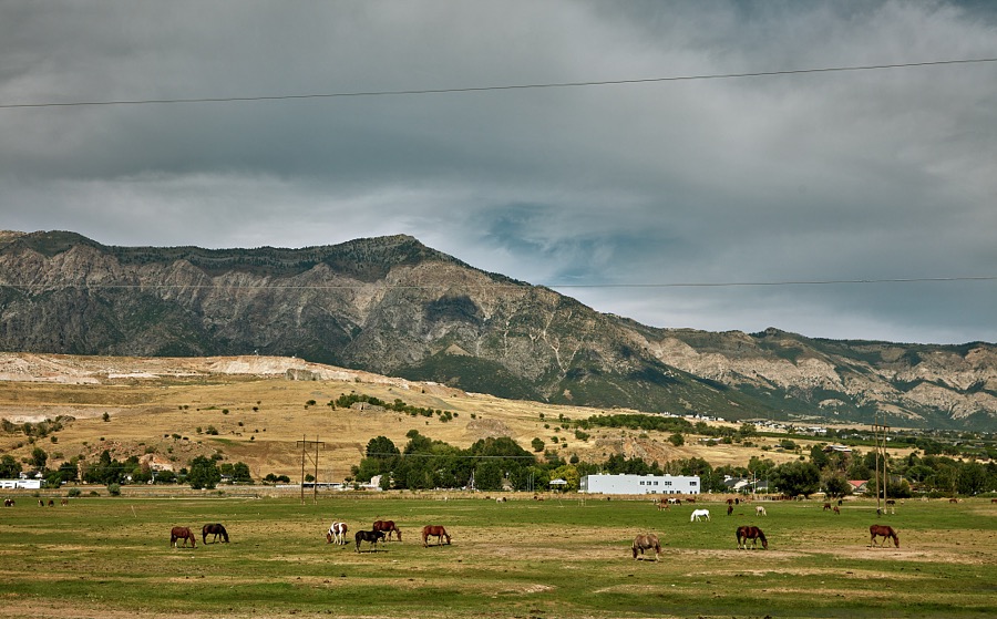 Horses graze beneath the Wasatch Range near Pleasant Valley, Utah