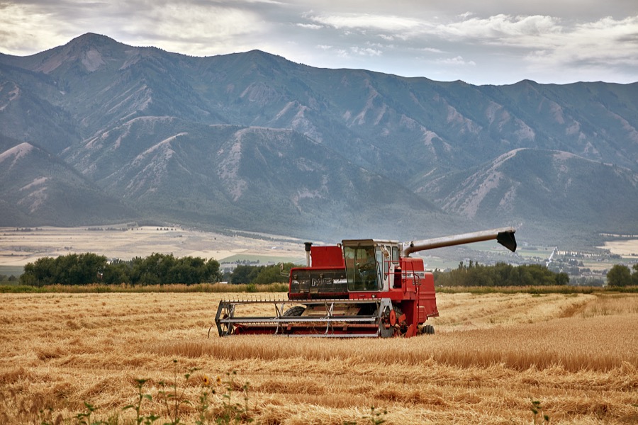 A thresher cuts and gathers hay in a valley near Wellsville, Utah