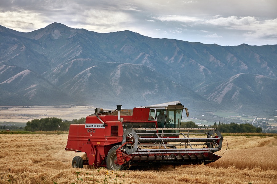 A thresher cuts and gathers hay in a valley near Wellsville, Utah