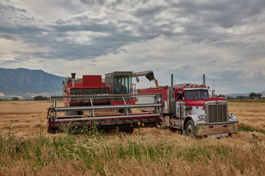 A thresher cuts and gathers hay in a valley near Wellsville, Utah