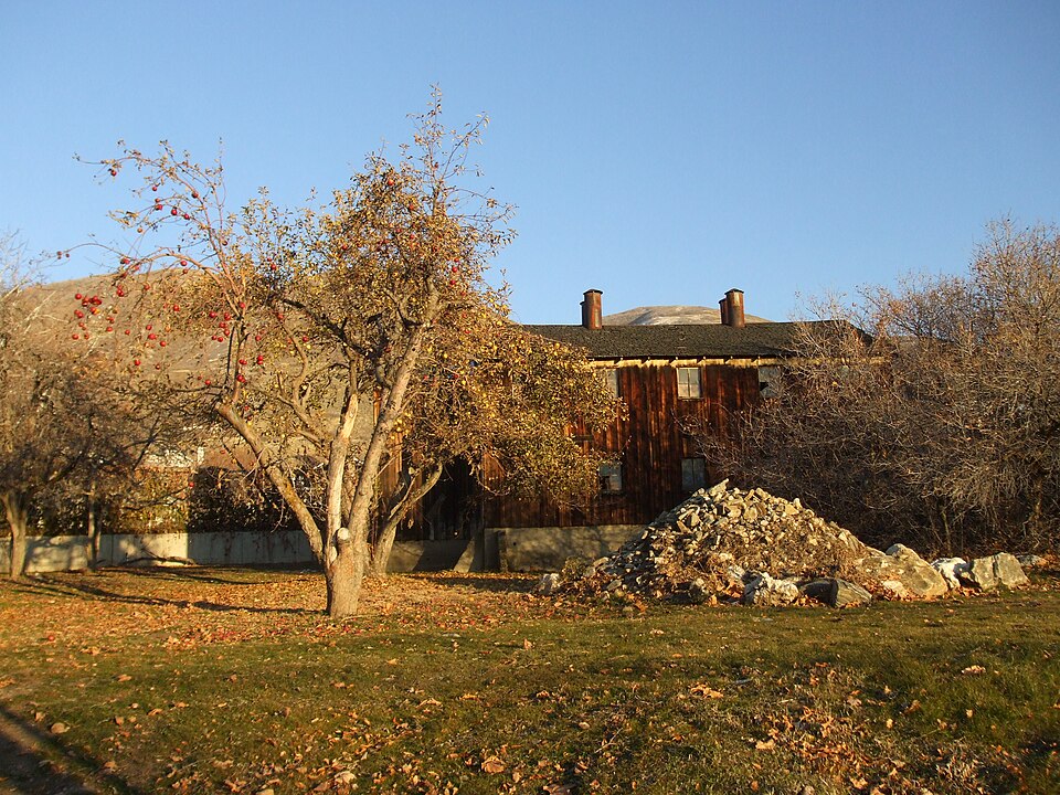 Photograph of Joseph N. and Algie Ford House