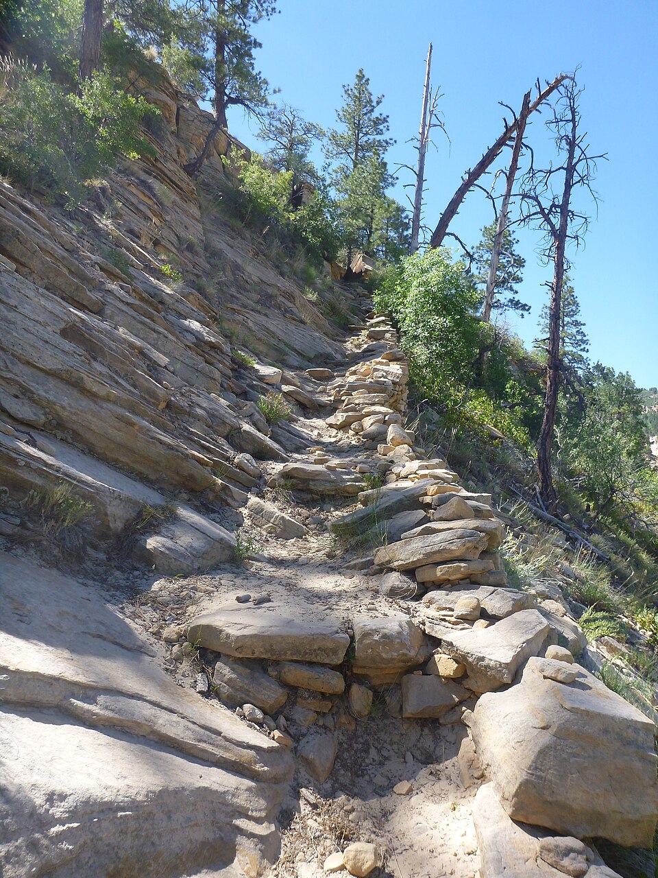 Photograph of East Rim Trail