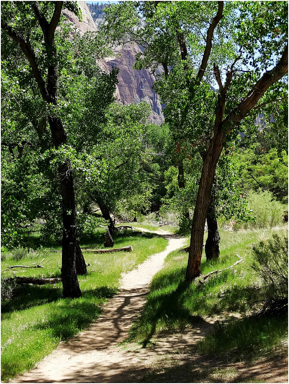 Photograph of Grotto Trail