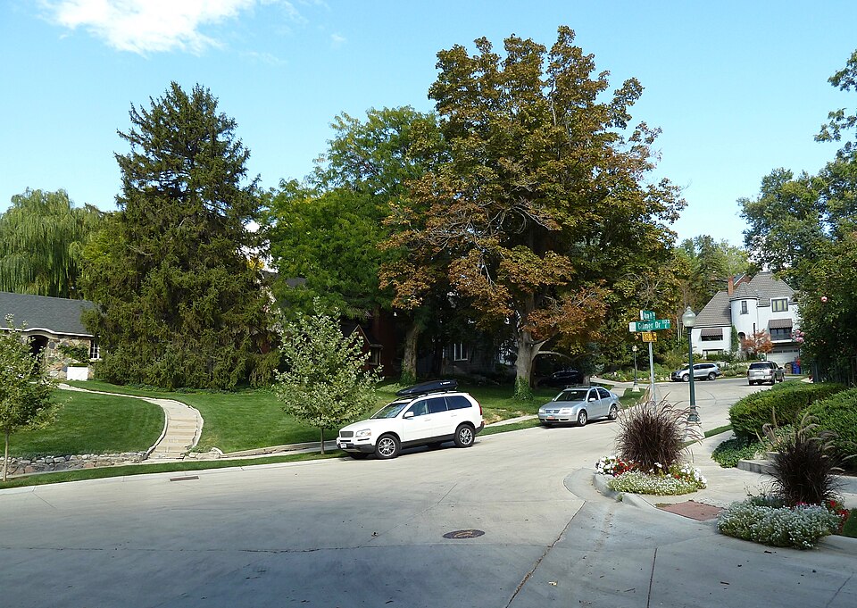 Photograph of Gilmer Park Historic District