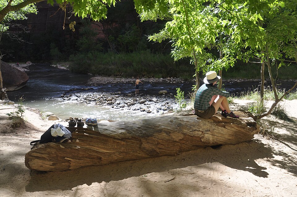 Photograph of Flanigan Ditch