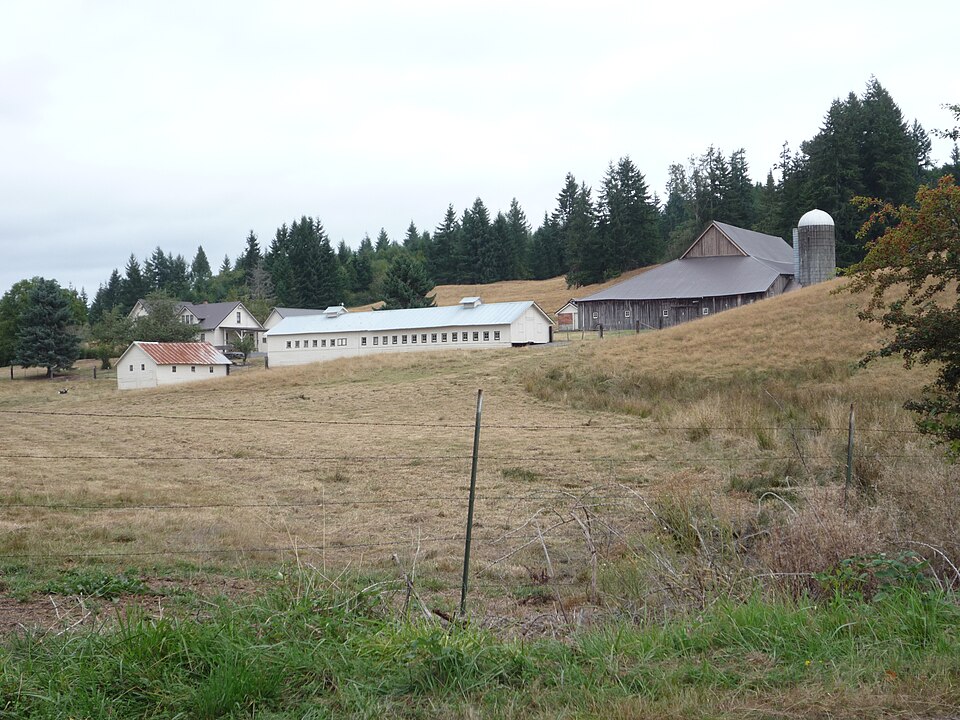 Photograph of Jonas and Maria Lovisa Erickson Farmstead