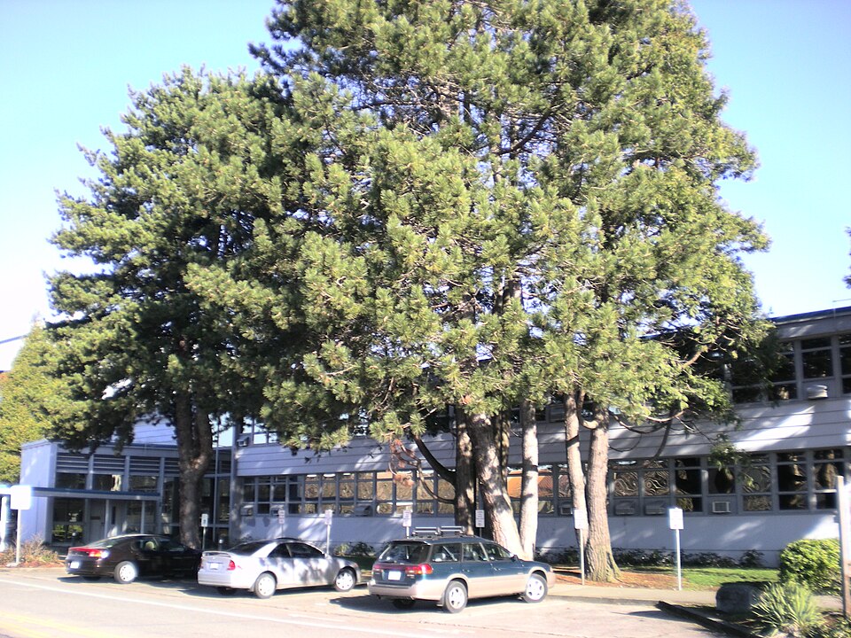 Photograph of Georgia-Pacific Plywood Company Office