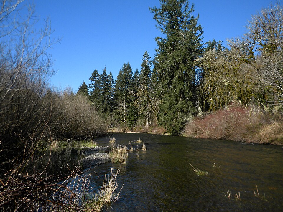 Photograph of Schafer State Park