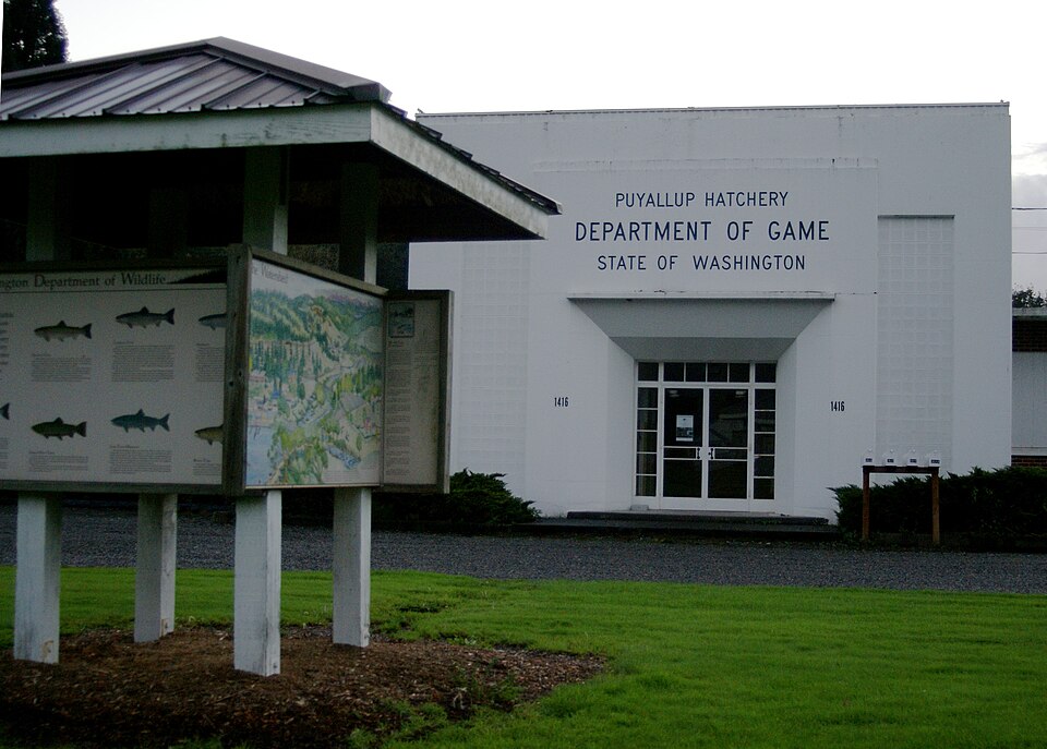 Photograph of Puyallup Fish Hatchery