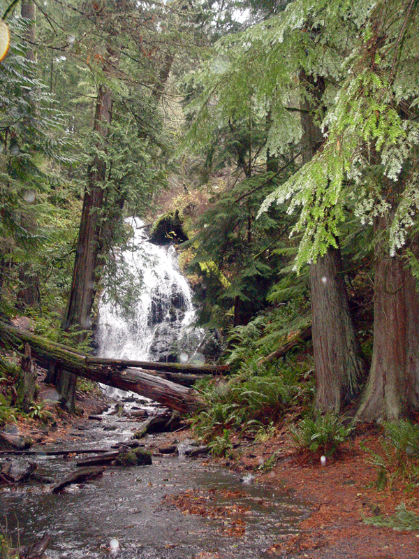 Photograph of Moran State Park
