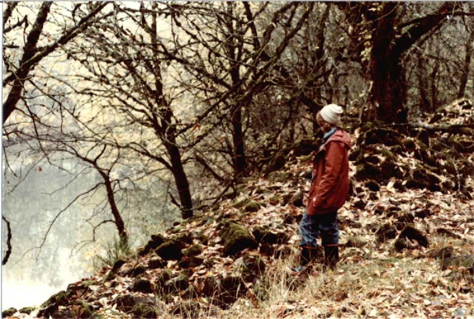 Photograph of Basalt Cobblestone Quarries District